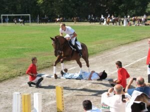 Kharkov State Zoo Veterinary Academy – photo 3